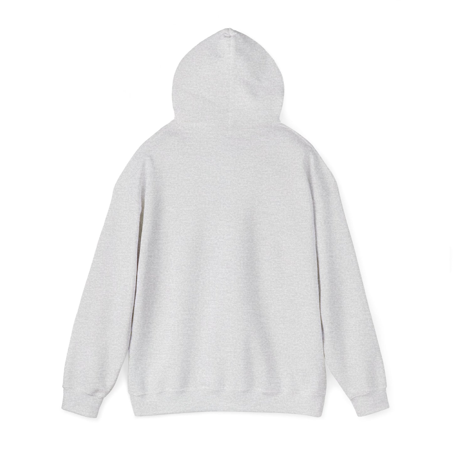 I Found My Missing R&B Hoodie,