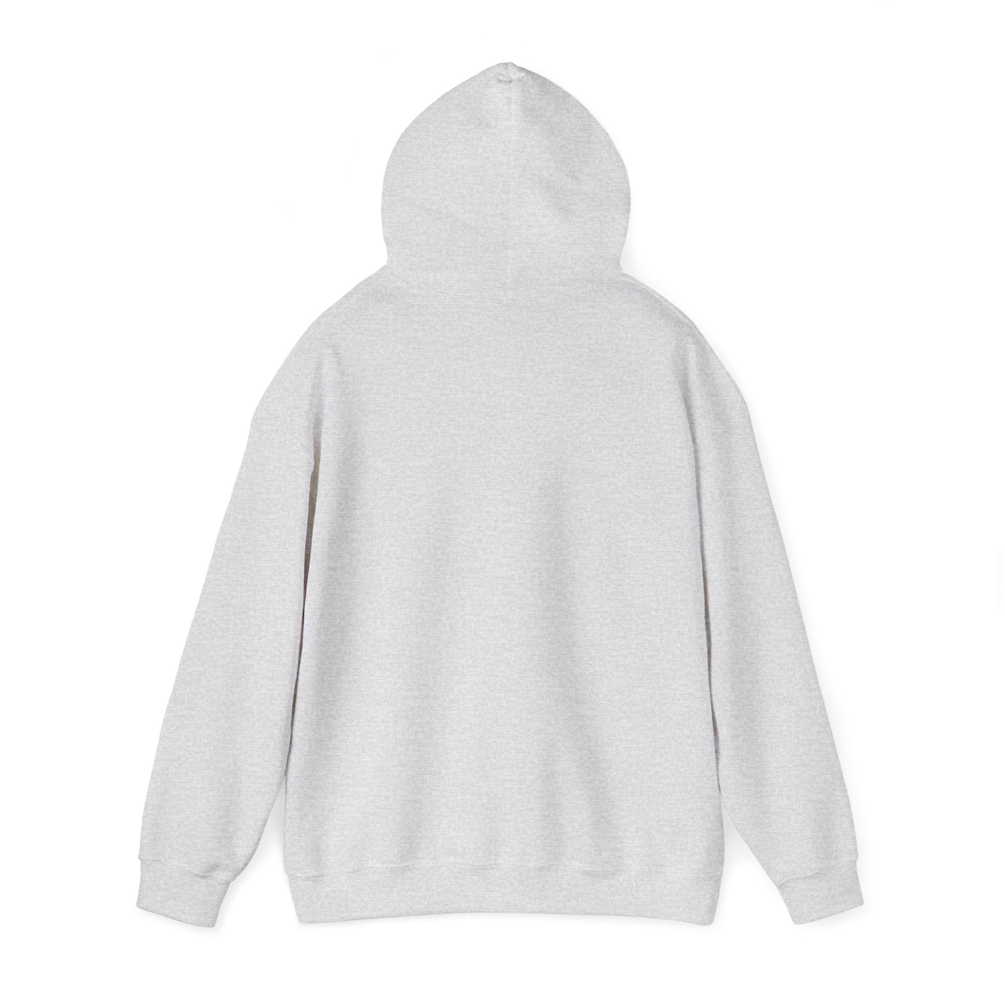 I Found My Missing R&B Hoodie,