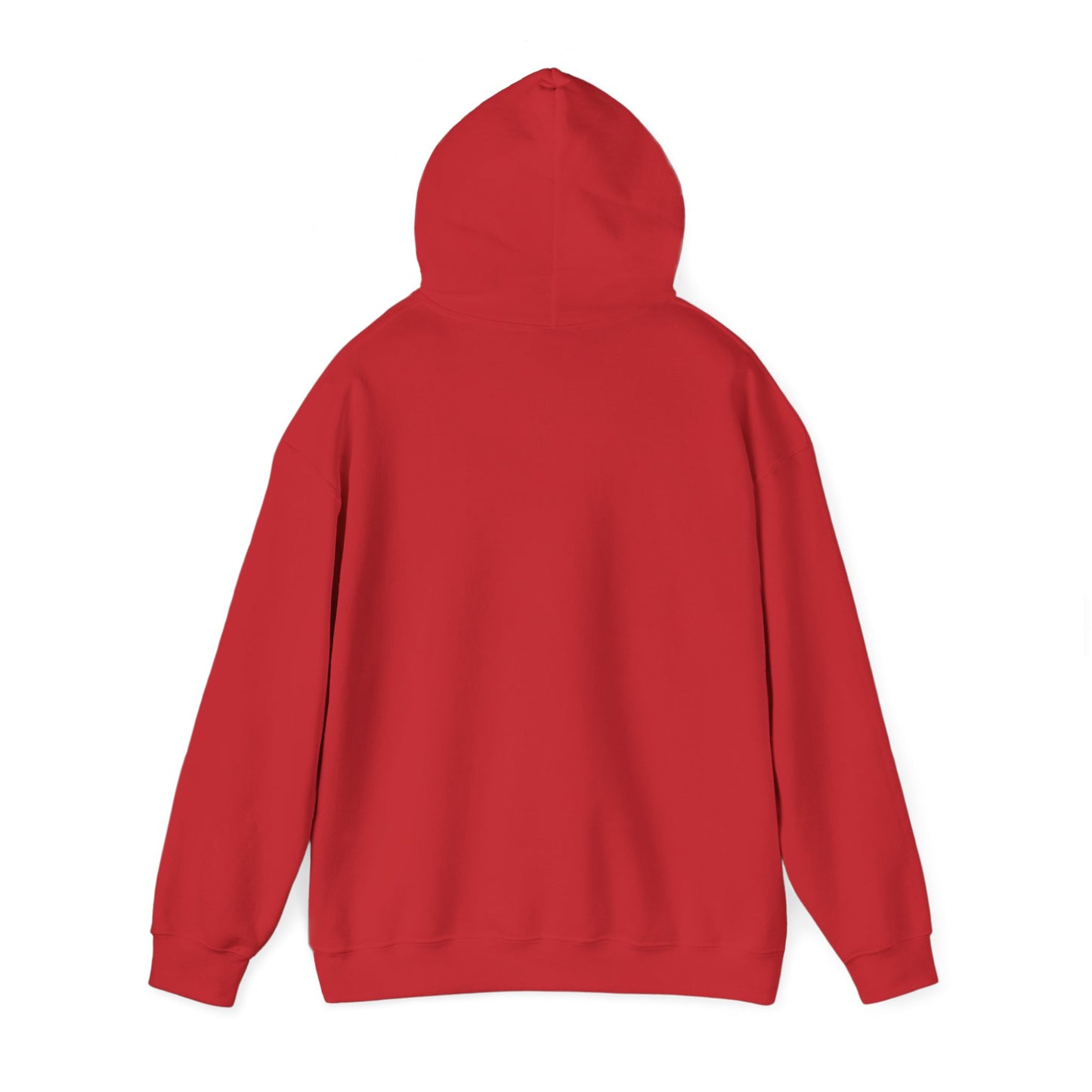I Found My Missing R&B Hoodie,