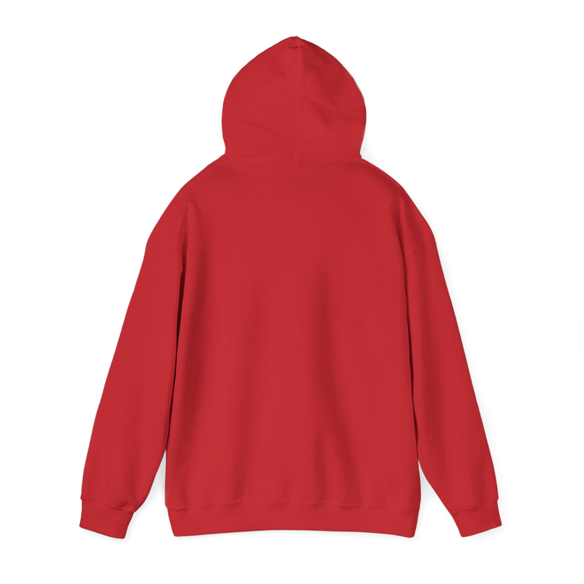 I Found My Missing R&B Hoodie,