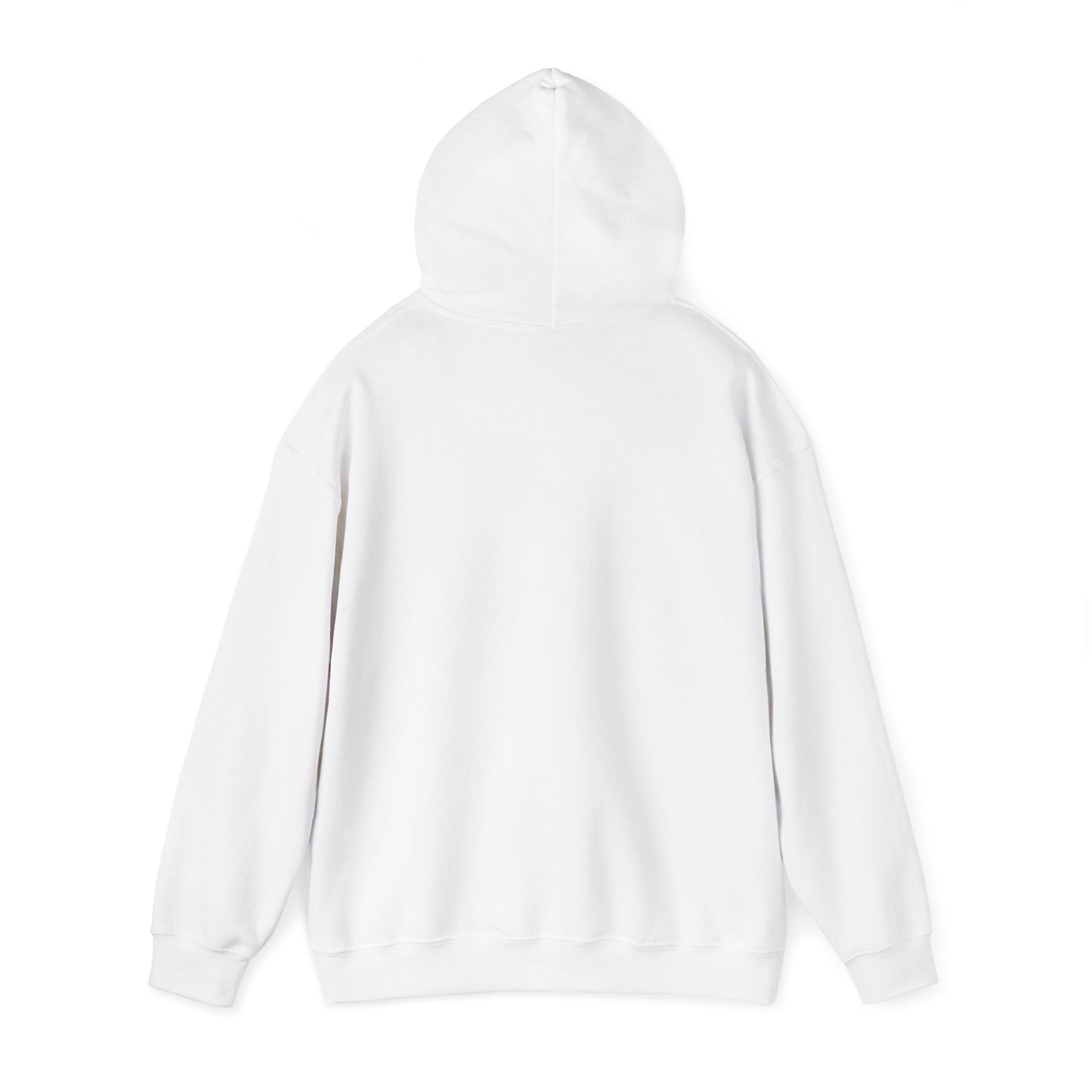 I Found My Missing R&B Hoodie,