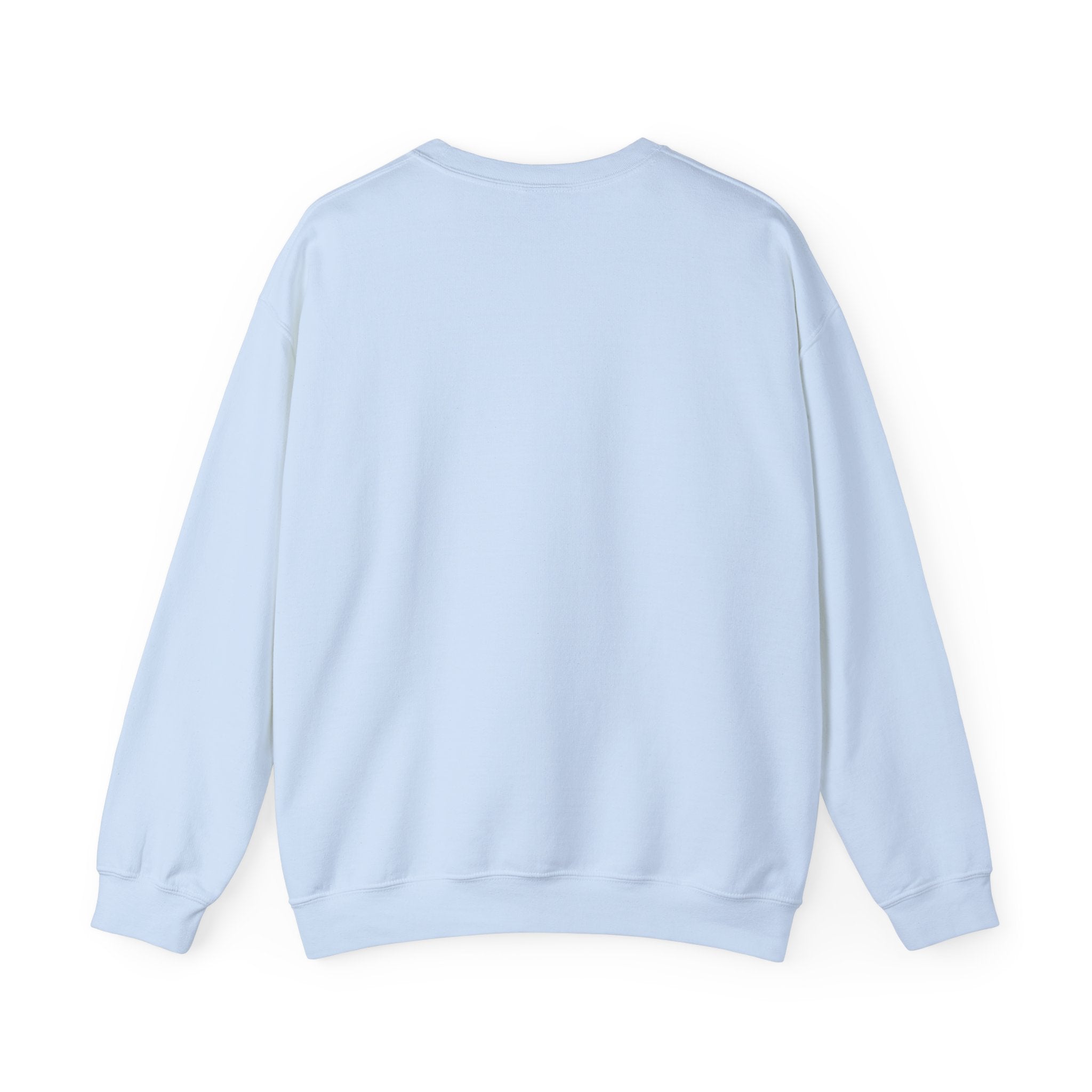 Unisex Crewneck Sweatshirt  'Educated Through Experience'
