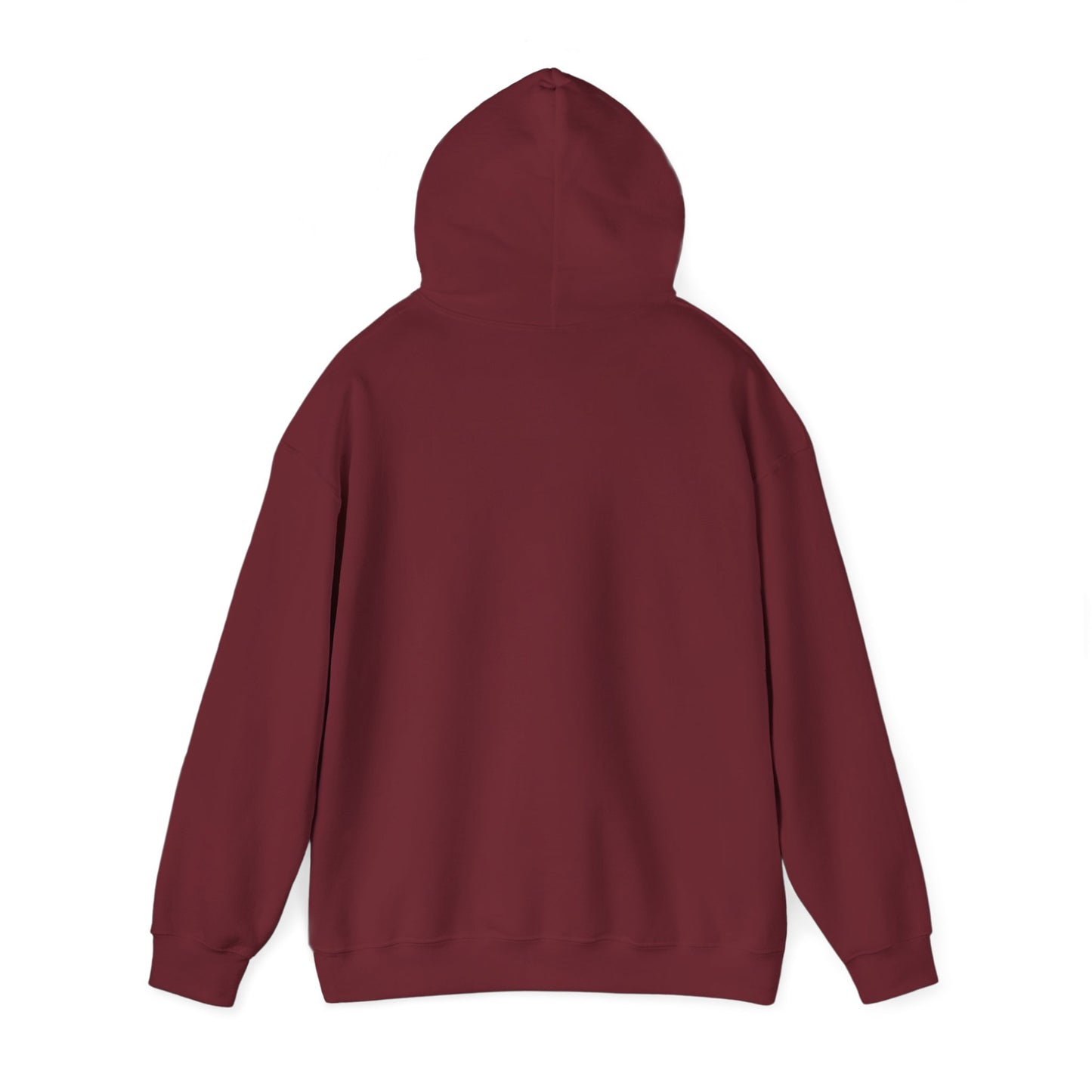 I Found My Missing R&B Hoodie,