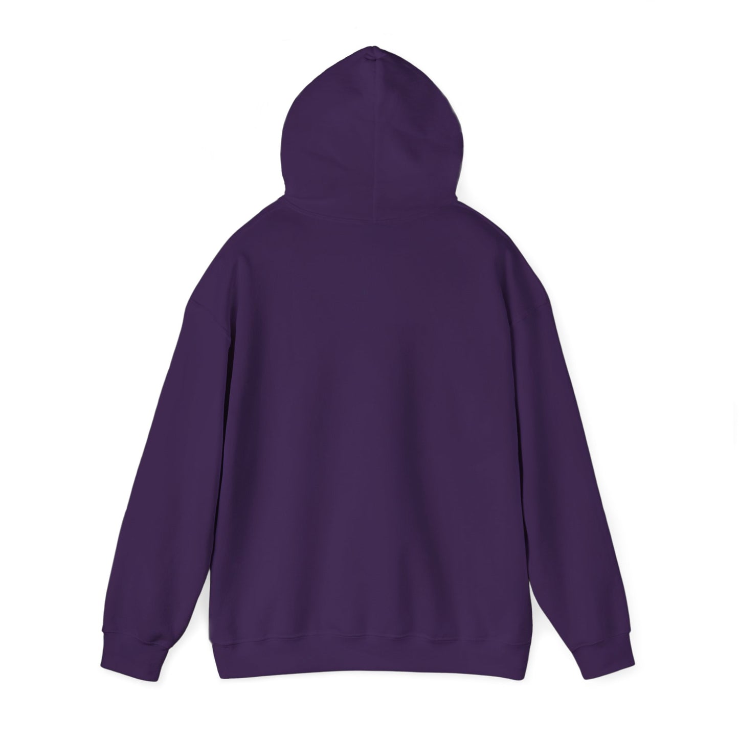 I Found My Missing R&B Hoodie,
