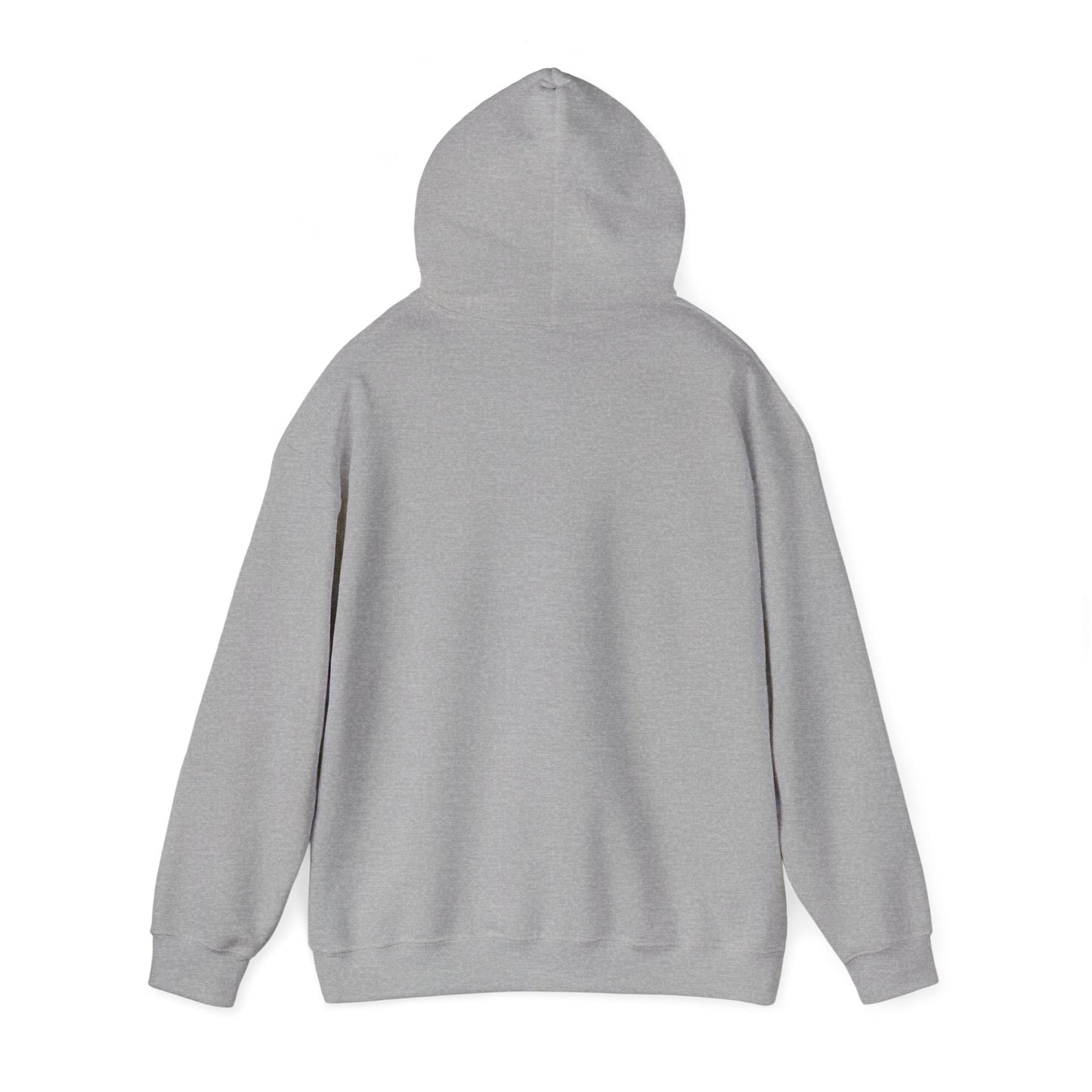 Heavy Blend Hooded Sweatshirt  'Educated Through Experience'