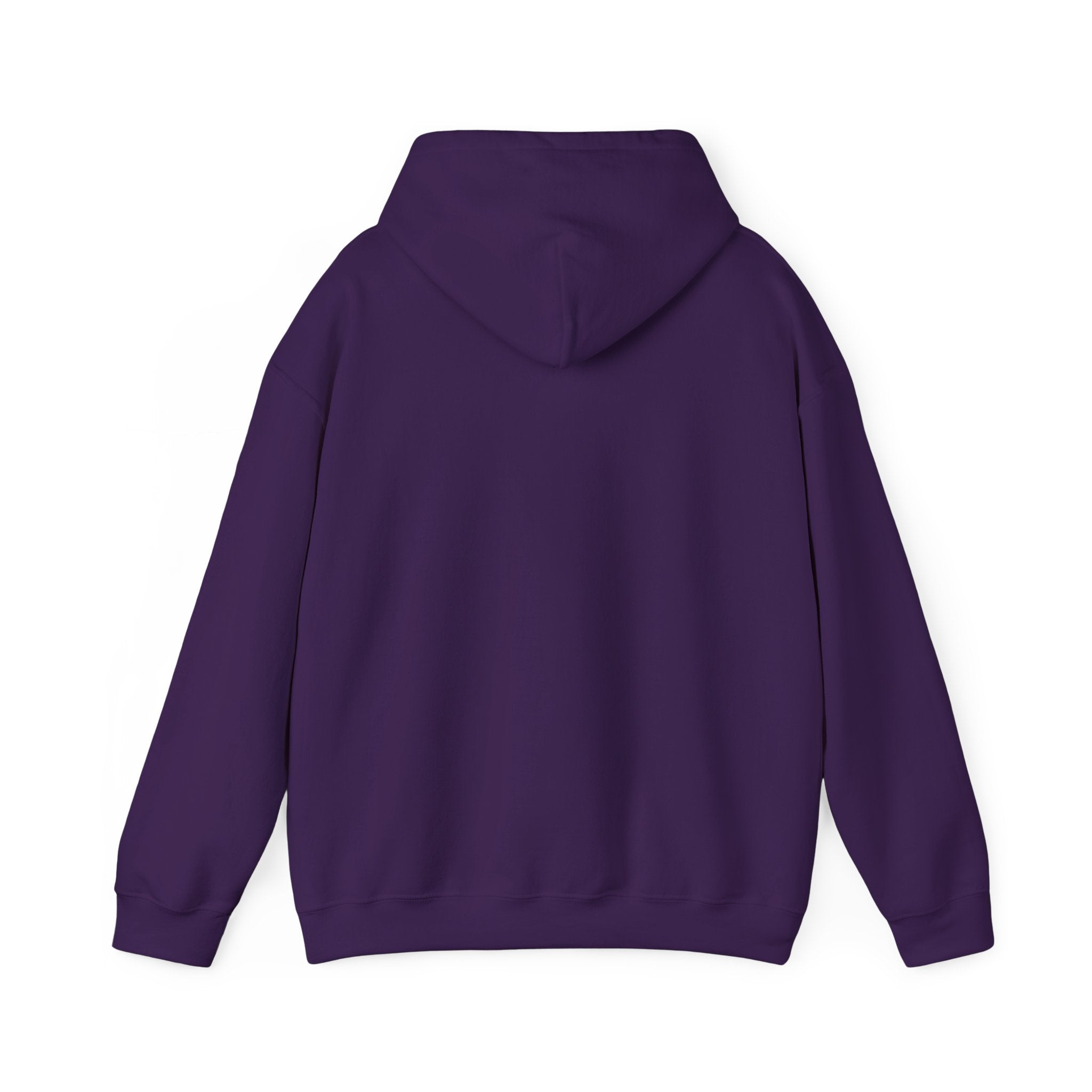 I Found My Missing R&B Hoodie,